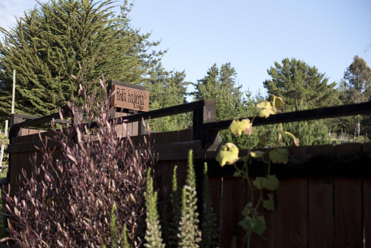 Punta Ballena Lodge Pichilemu Luaran gambar