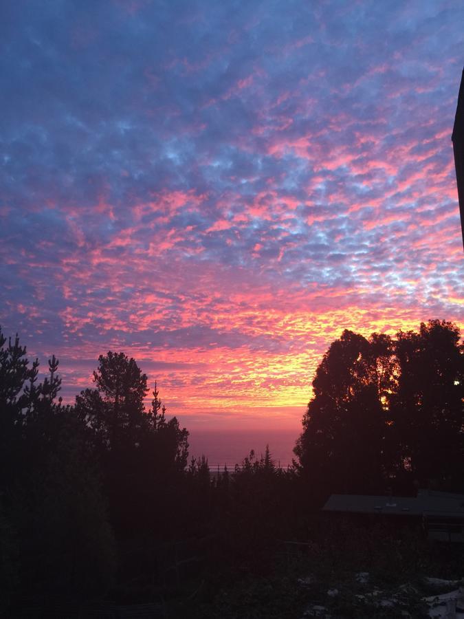 Punta Ballena Lodge Pichilemu Luaran gambar